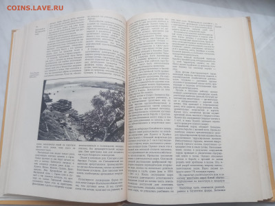 Восточная и центральная Азия до 13.02.26 в 22:00 по мск - IMG_20260207_141231