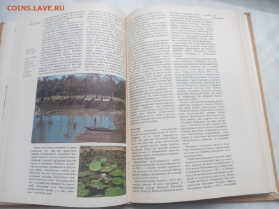 Южная Азия до 13.02.26 в 22:00 по мск - IMG_20260207_145114