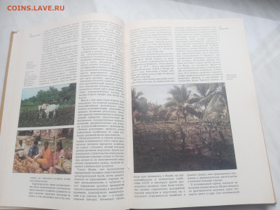 Южная Азия до 13.02.26 в 22:00 по мск - IMG_20260207_145048