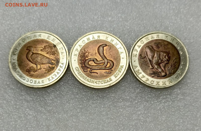 02-22:00МСК - IMG_20260207_180237_268