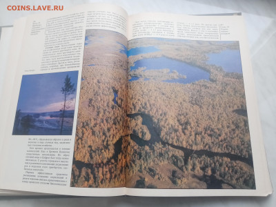 Земля и человечество глобальные проблемы до 13.02.26 в 22:00 - IMG_20260207_151107