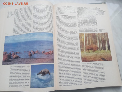 Земля и человечество глобальные проблемы до 13.02.26 в 22:00 - IMG_20260207_151042