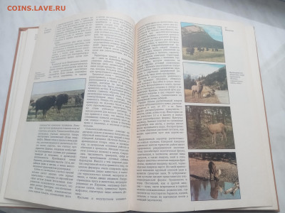 Америка общий обзор Северная Америка до 13.02.26 в 22:00 по - IMG_20260207_152344