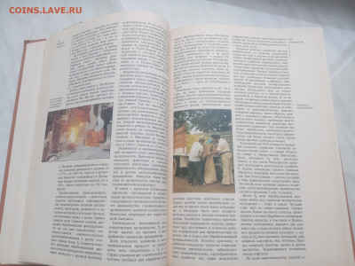 Южная Америка до 13.02.26 в 22:00 по мск - IMG_20260207_154356