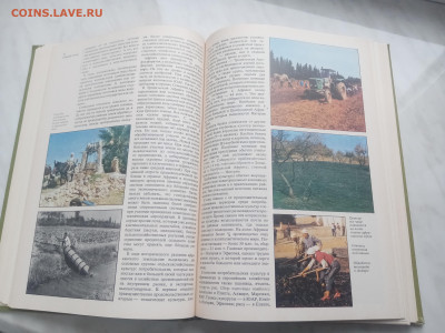 Северная африка до 13.02.26 в 22:00 по мск - IMG_20260207_155244