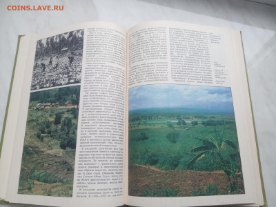 Северная африка до 13.02.26 в 22:00 по мск - IMG_20260207_155233