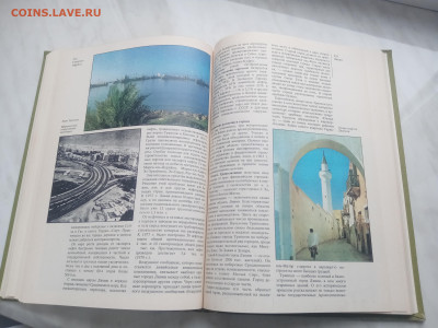 Северная африка до 13.02.26 в 22:00 по мск - IMG_20260207_155126