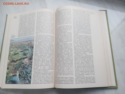 Северная африка до 13.02.26 в 22:00 по мск - IMG_20260207_155108