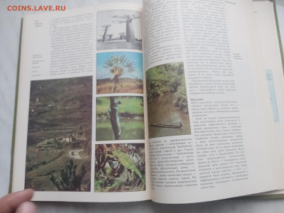 Восточная и Южная африка до 13.02.26 в 22:00 по мск - IMG_20260207_165627