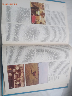 Северная Европа до 13.02.26 в 22:00 по мск - IMG_20260207_171427