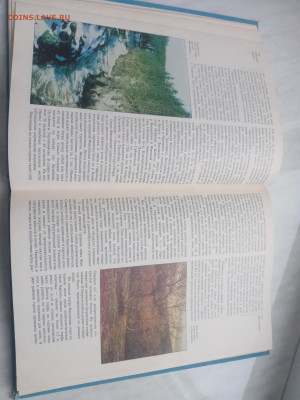 Северная Европа до 13.02.26 в 22:00 по мск - IMG_20260207_171356