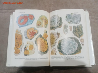 Водоросли лишайники ссср до 13.02.26 в 22:00 по мск - IMG_20260208_015713