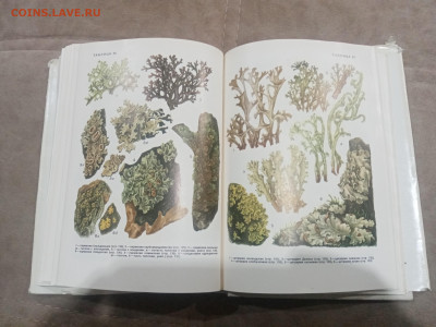 Водоросли лишайники ссср до 13.02.26 в 22:00 по мск - IMG_20260208_015651