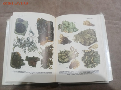 Водоросли лишайники ссср до 13.02.26 в 22:00 по мск - IMG_20260208_015602