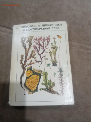 Водоросли лишайники ссср до 13.02.26 в 22:00 по мск - IMG_20260208_015357