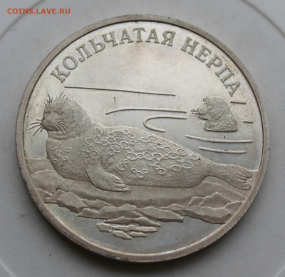 Рубль 2007 год Кольчатая Нерпа - IMG_4158.JPG