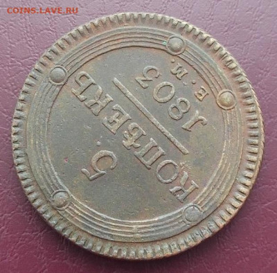 5 копеек 1803 до 12.02.26 в 22.00. - IMG_20260208_152501