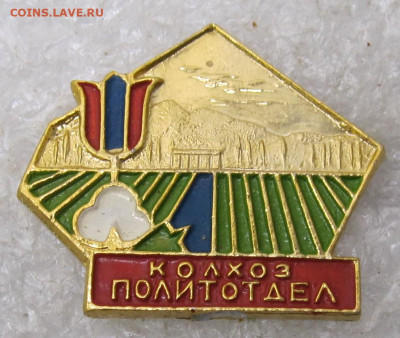 Колхоз "Политотдел" Ташкентская обл Люкс до 10.02 - 052.JPG