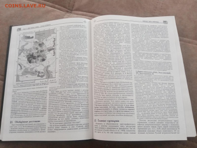 Русский генофонд на русской равнине до 15.02.26 в 22:00 по м - IMG_20260209_124647