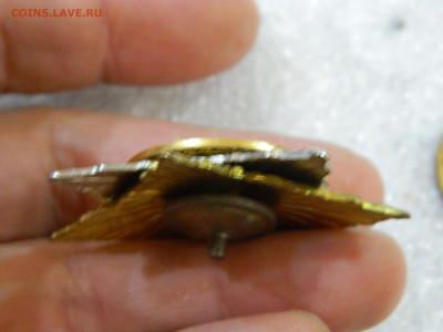 Танковые войска  до 12.02.2026 22:00 - DSCN8220.JPG