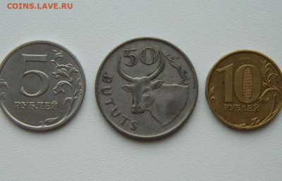 Гамбия 50 бутутов 1971 г. (Фауна) С рубля! до 16.02.26 - DSCN0619.JPG