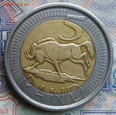 ЮАР 5 рандов 2004 года до 16.02.2026 - IMG_20260208_051323