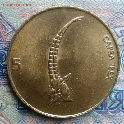 Словения 5 толаров 1999 года до 16.02.2026 - IMG_20260208_162225