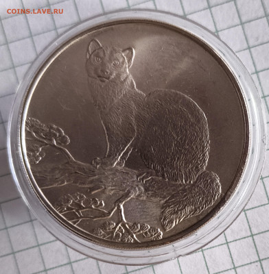 3 рубля 1995 Соболь UNC - IMG_20260211_113457583 (1)