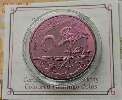 Виргинские острова 5 долларов 2015. Фламинго. Титан - 80
