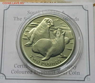 Южные Сандвичевы острова 2 Фунта 2017 г. Морской слон Титан - 1