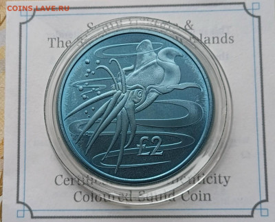 Южные Сандвичевы острова 2 Фунта 2017 год Кальмар - 106