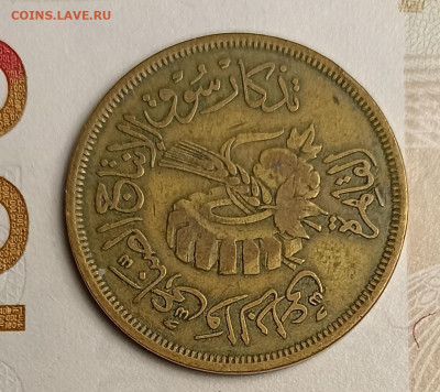 20 миллимов Египет - IMG_20260210_195635