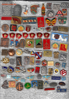 Значки тм +ситал до 13.02.2026 22:00 - 1_0007