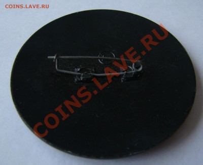 Значок-букет цветов РУЧНАЯ РОСПИСЬ до 06.03.2012г 21-00 - DSC09520.JPG