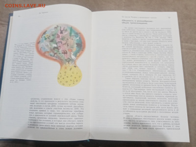 Генетика и наследственность до 17.02.26 в 22:00 по мск - IMG_20260212_010545