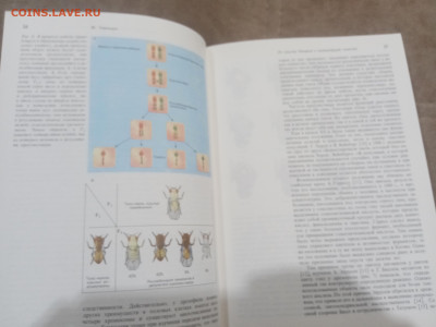 Генетика и наследственность до 17.02.26 в 22:00 по мск - IMG_20260212_010534