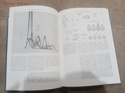 Генетика и наследственность до 17.02.26 в 22:00 по мск - IMG_20260212_010456