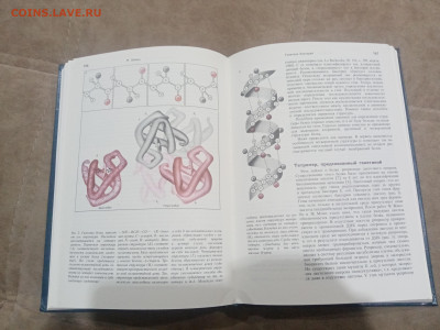 Генетика и наследственность до 17.02.26 в 22:00 по мск - IMG_20260212_010355