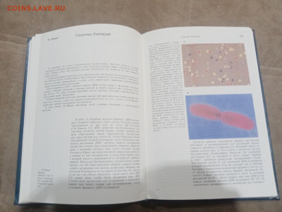 Генетика и наследственность до 17.02.26 в 22:00 по мск - IMG_20260212_010409