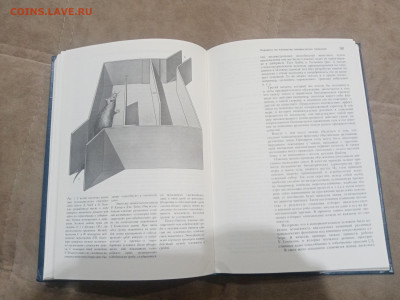 Генетика и наследственность до 17.02.26 в 22:00 по мск - IMG_20260212_010343