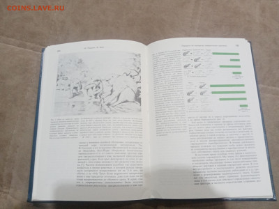 Генетика и наследственность до 17.02.26 в 22:00 по мск - IMG_20260212_010333