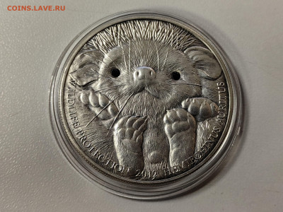 Монголия 500тугр 2012 Ушастый ёж, Ag999, до 18.02 - Ю Монголия Ёжик-2