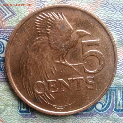 Тринидад и Тобаго 5 центов 2011 года до 16.02.2026 - IMG_20260208_161052