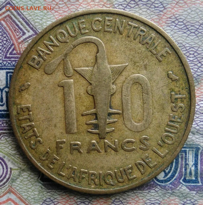 Западная Африка 10 франков 1966 года до 16.02.2026 - IMG_20260208_232145