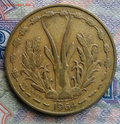 Западная Африка 10 франков 1964 года до 16.02.2026 - IMG_20260208_232303