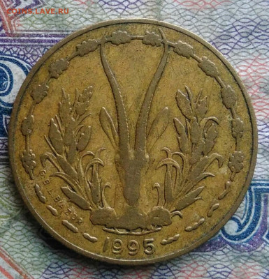 Западная Африка 5 франков 1995 года до 16.02.2026 - IMG_20260209_030929