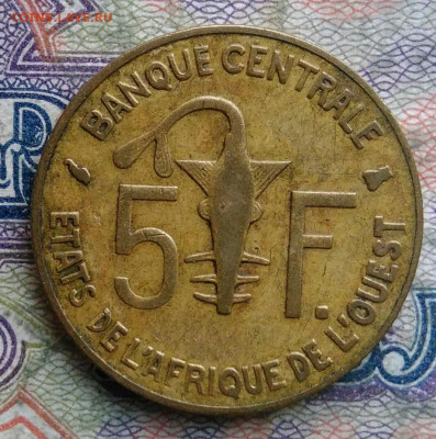 Западная Африка 5 франков 1995 года до 16.02.2026 - IMG_20260209_030946