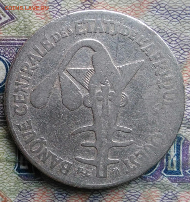 Западная Африка 50 франков 1982 года до 16.02.2026 - IMG_20260209_030835
