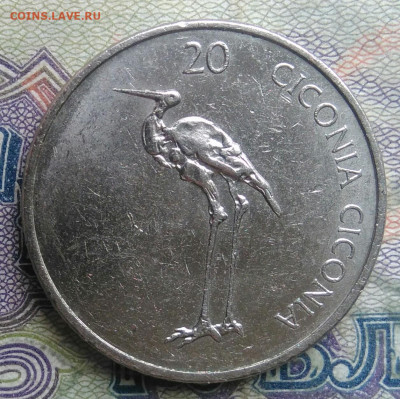 Словения 20 толаров 2005 года до 16.02.2026 - IMG_20260211_212514