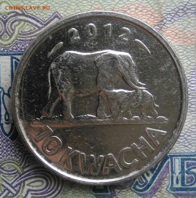 Малави 10 квача 2012 года до 16.02.2026 - IMG_20260211_212817